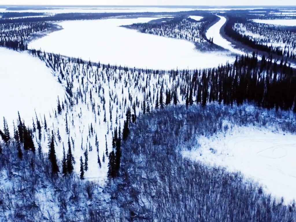 Bringing Tech for Social Good: Nonprofit Tech Programs in the Arctic
